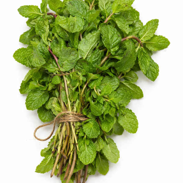 Fresh mint Leaves (Pudina)
